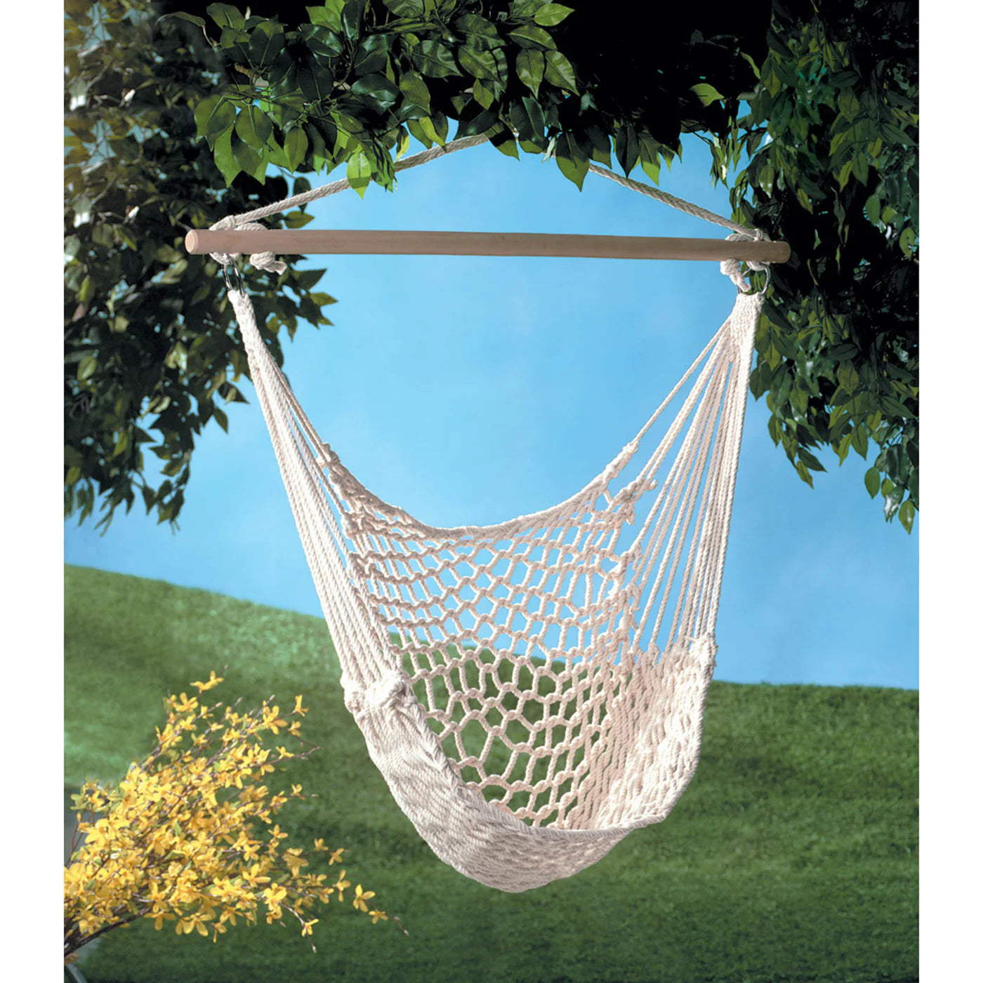 Cotton Hammock Chair