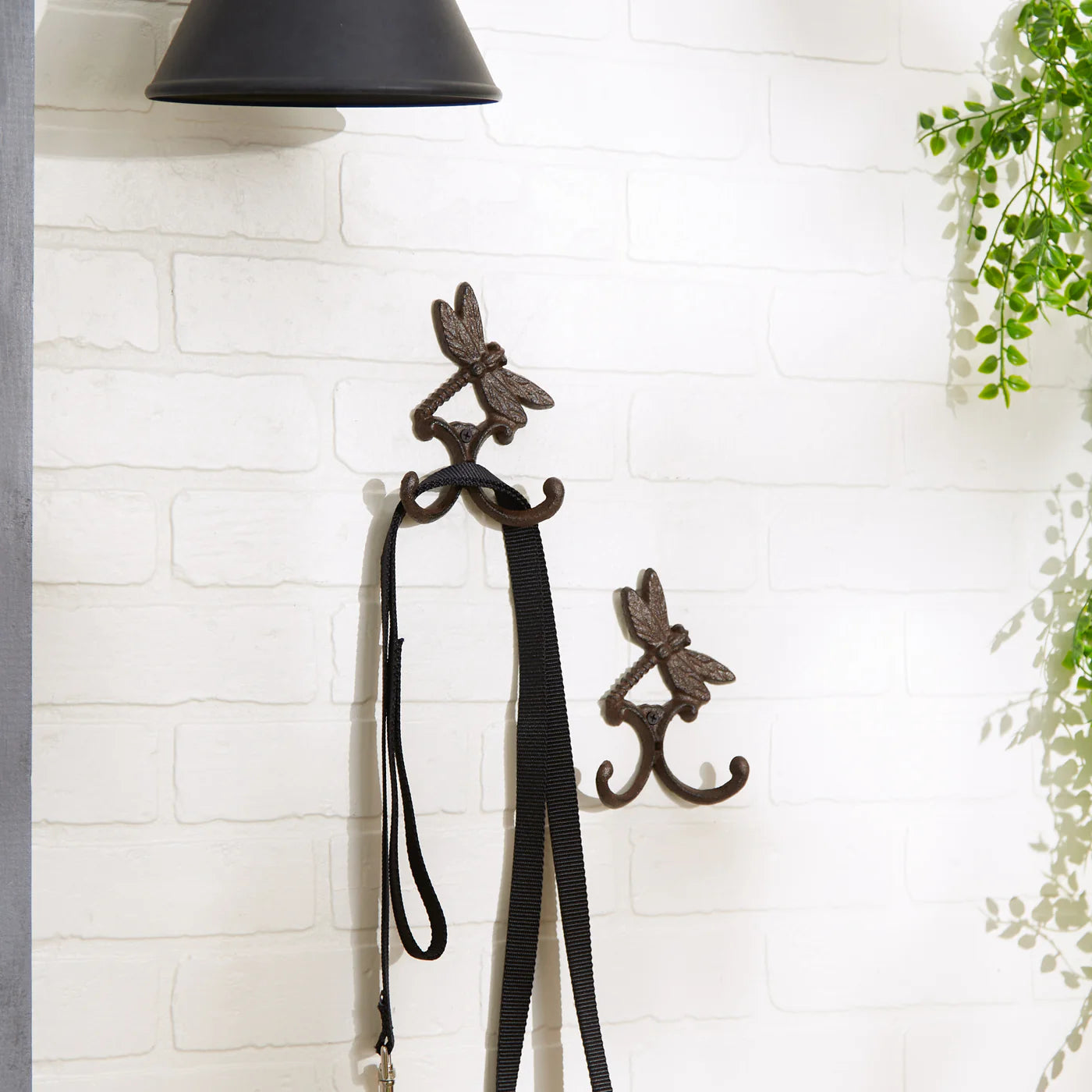 Cast Iron Dragonfly Wall Hooks Set of Two